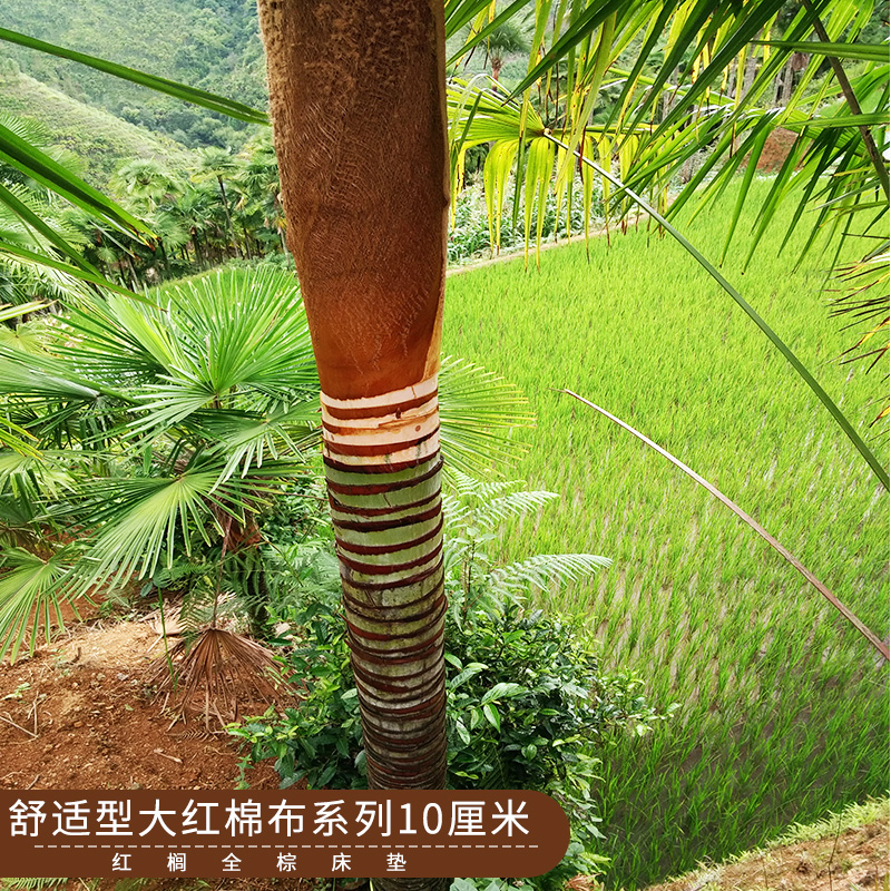 舒適型大紅棉布系列10厘米厚全拉鏈帆布天然紅櫚全山棕床墊