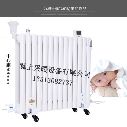 碳鋼電暖氣價格 鋼制電取暖器 鋼制電暖氣-冀上