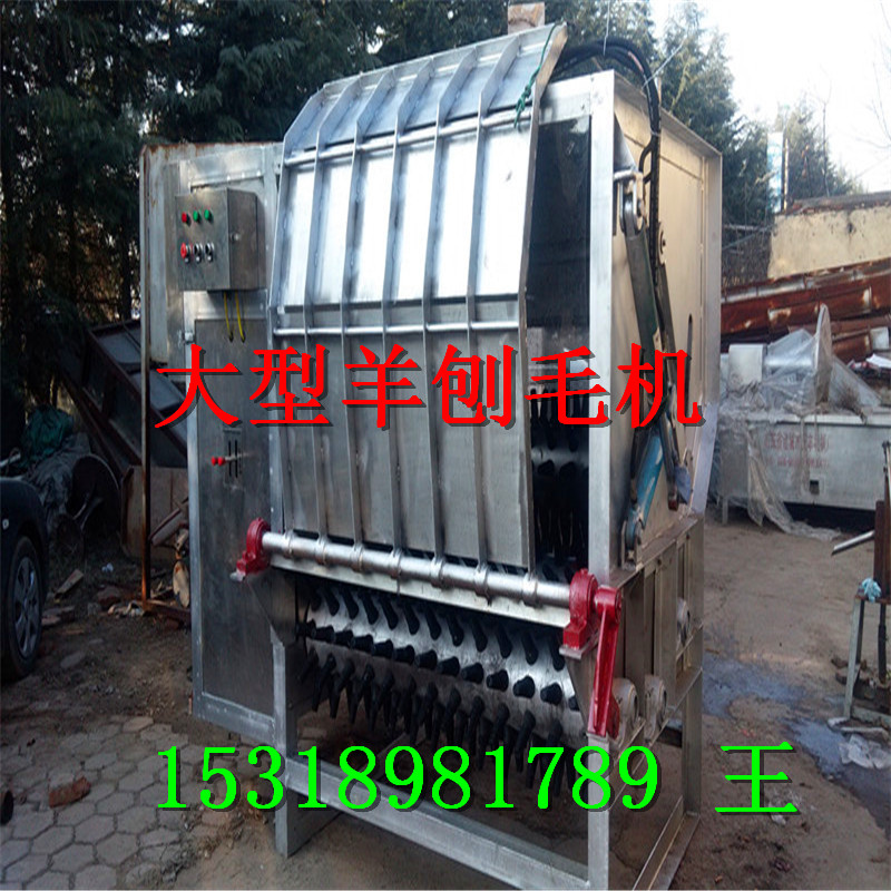 大型羊刨毛機  全自動 不銹鋼  大型羊刨毛機