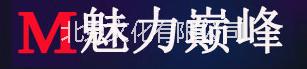 北京演出公司|活動(dòng)策劃執(zhí)行公司|燈光音響|*演藝
