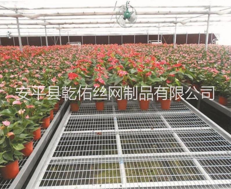 河北溫室大棚苗床鋼絲網(wǎng)片生產(chǎn)廠家|安平熱鍍鋅鋼絲網(wǎng)片廠