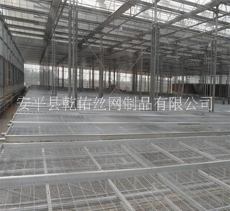 河北溫室大棚苗床鋼絲網(wǎng)片生產(chǎn)廠家|安平熱鍍鋅鋼絲網(wǎng)片廠