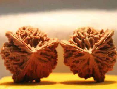 出售文玩核桃，麻核桃批發(fā)