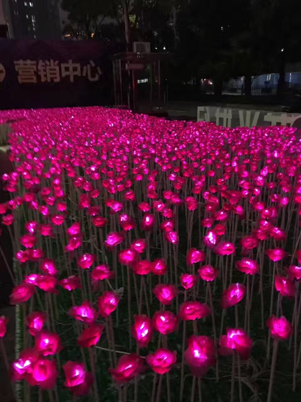 LED發(fā)光玫瑰花 玫瑰花燈 發(fā)光玫瑰花海