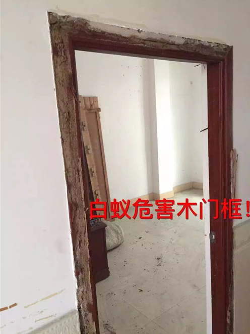 番禺上門滅白蟻聯(lián)系電話 番禺上門滅白蟻哪家強(qiáng) 番禺上門滅白蟻怎么收費(fèi) 番禺上門滅白蟻多少錢 番禺上門滅白蟻哪家好 番禺上