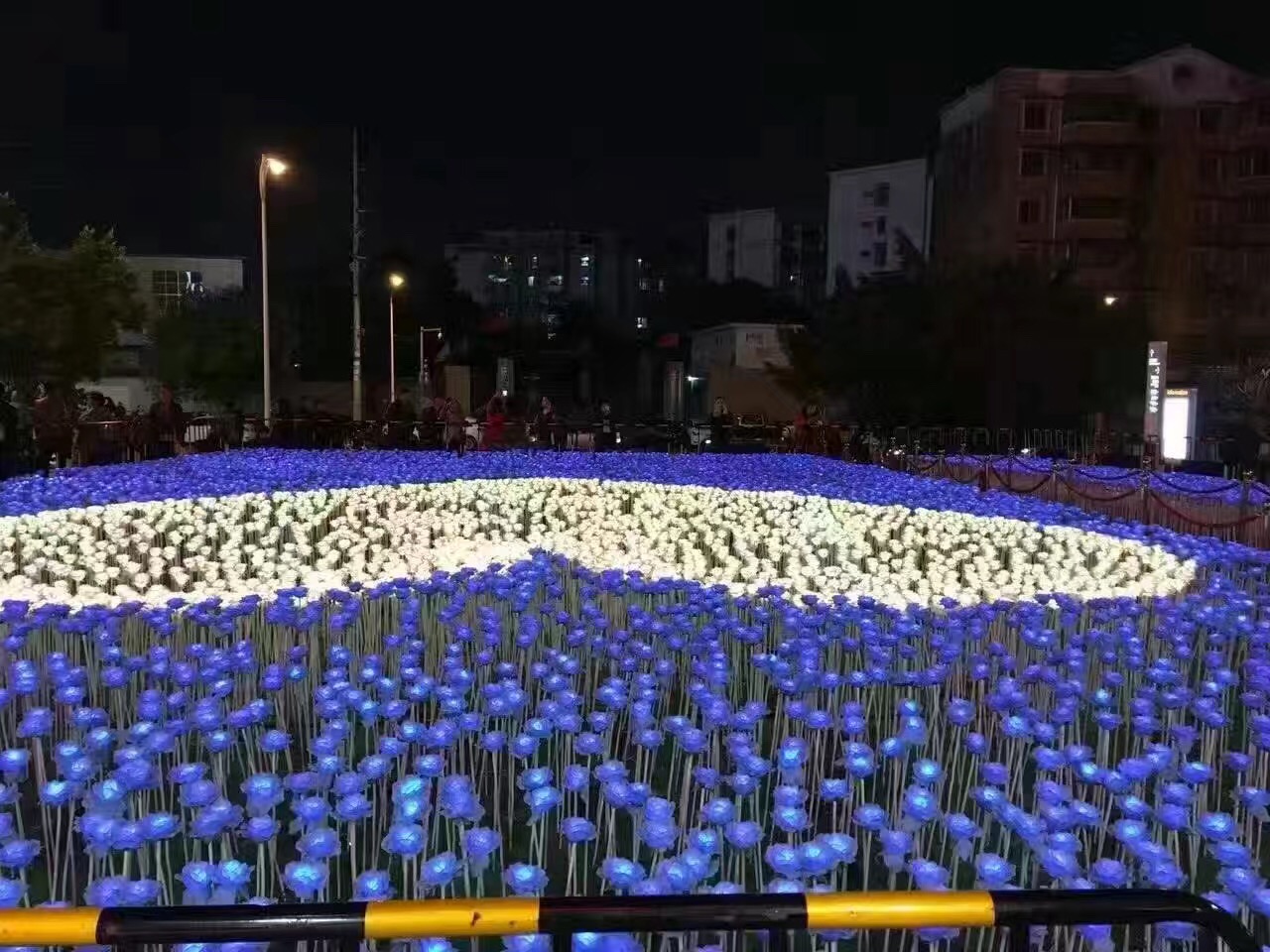 LED發(fā)光玫瑰花 玫瑰花燈 發(fā)光玫瑰花海