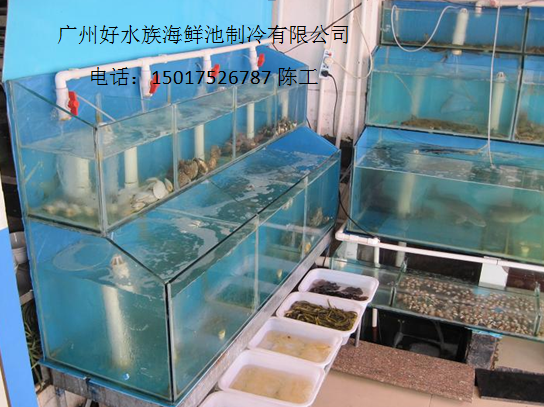 海鮮池制作,海鮮池效果圖,超市魚