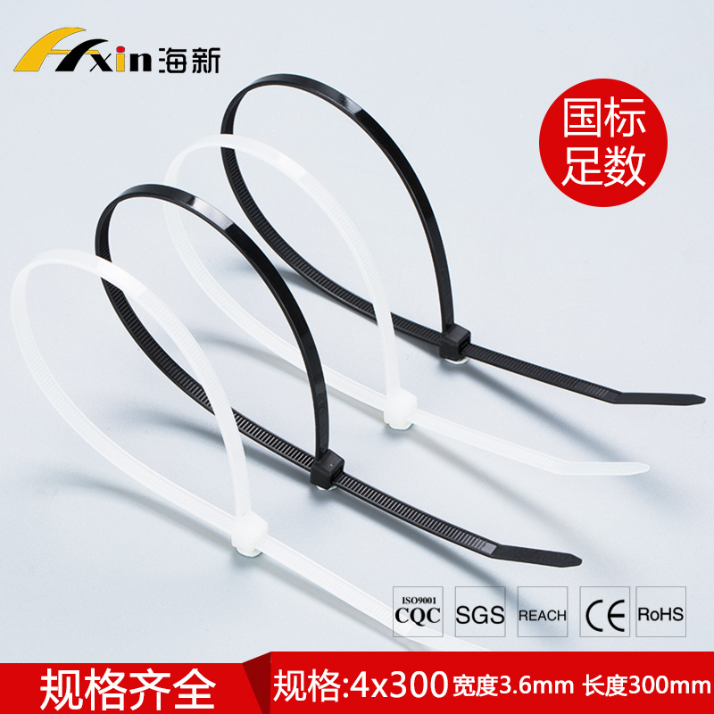 塑料扣固定條扎線帶束帶捆札帶