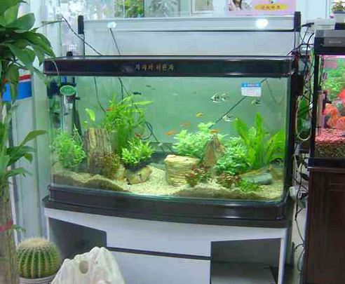 江門海鮮池 江門海鮮池設(shè)計安裝