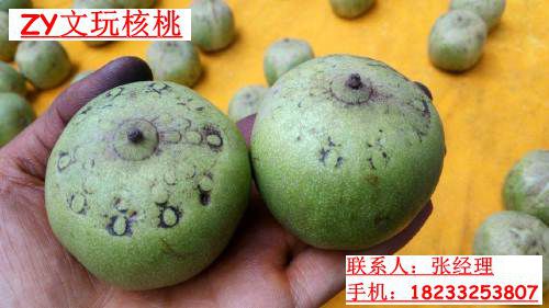 自產自銷文玩核桃，廠家直銷一手貨 自產自銷文玩核桃廠家直銷一手貨
