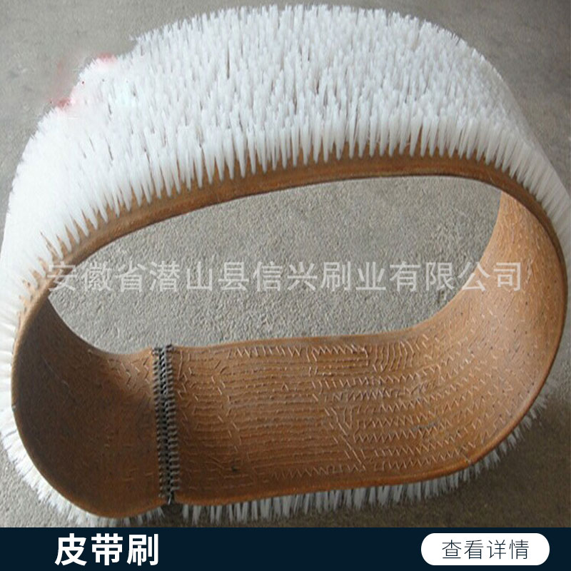 皮帶刷 環(huán)形毛刷 皮帶毛刷 皮帶輸送刷 各種長度各種寬度工業(yè)皮帶刷 歡迎來電咨詢