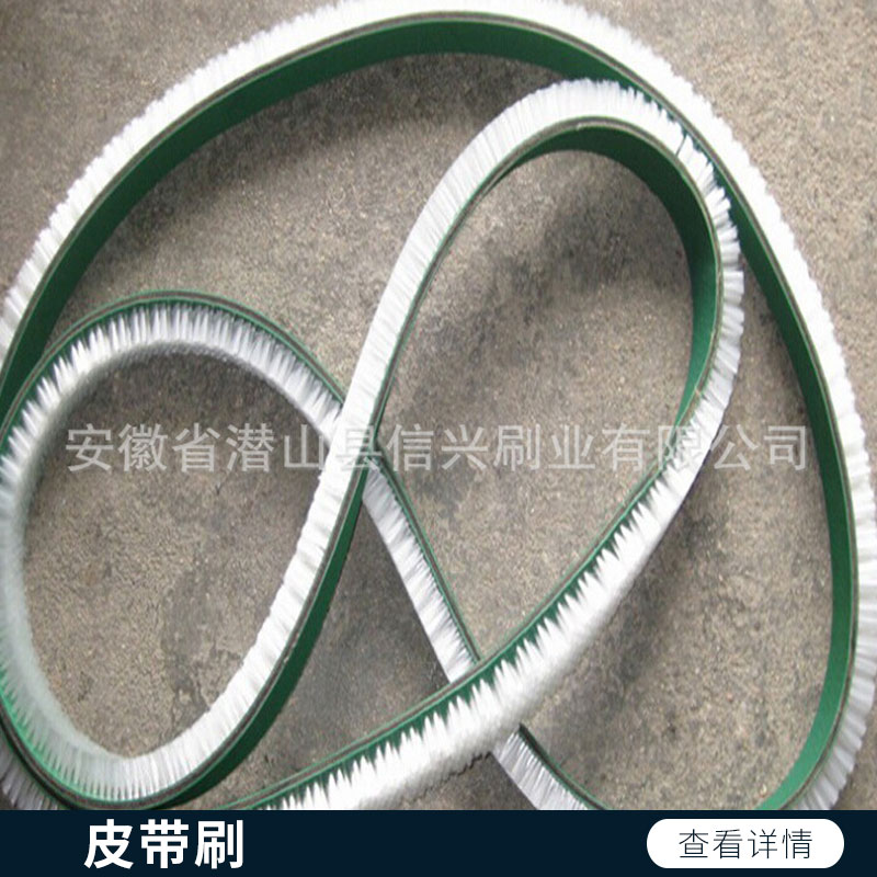 皮帶刷 環(huán)形毛刷 皮帶毛刷 皮帶輸送刷 各種長度各種寬度工業(yè)皮帶刷 歡迎來電咨詢