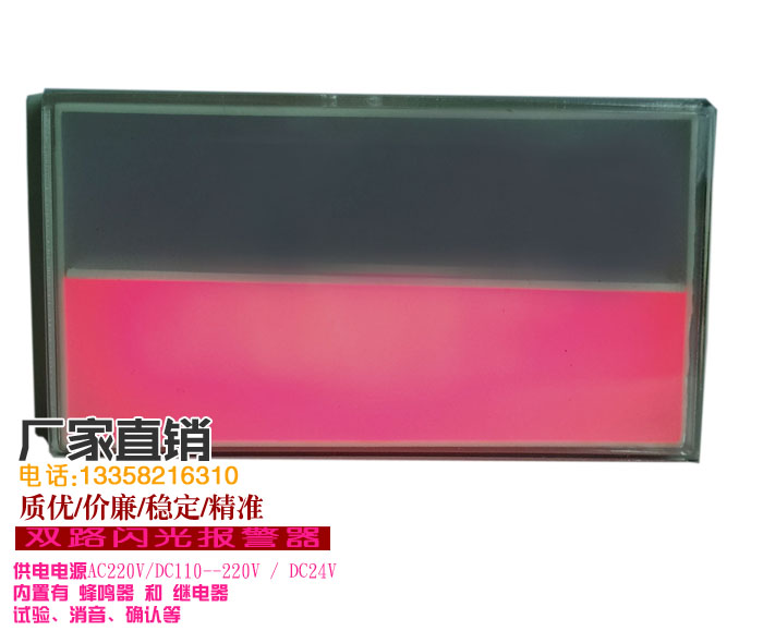 智能SAIxxs雙點2點二回路閃光報警器燈兩通道220V報警儀24V12V3V