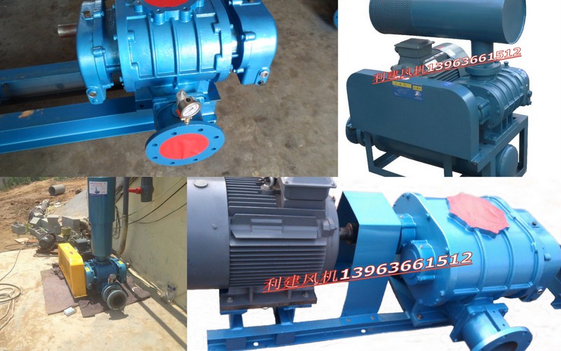 羅茨真空泵，羅茨鼓風(fēng)機(jī)，聊城兩葉羅茨鼓風(fēng)機(jī)價(jià)格