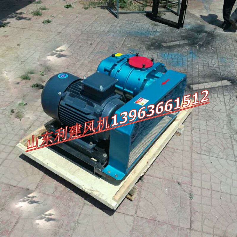 羅茨真空泵，羅茨鼓風(fēng)機(jī)，聊城兩葉羅茨鼓風(fēng)機(jī)價(jià)格