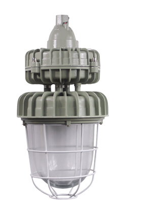 BAD81防爆無極燈