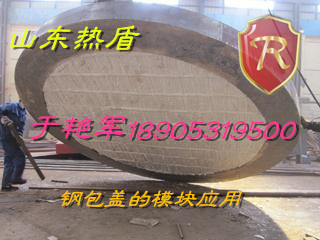 陶瓷纖維模塊價格及產(chǎn)品陶瓷纖維模塊圖形展示