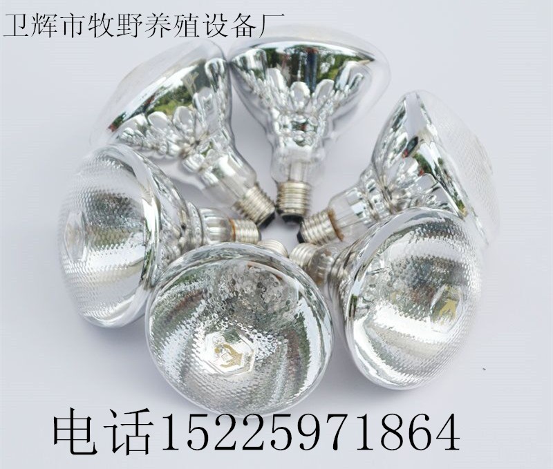 保溫?zé)艏雍穹浪辣┘t外線仔豬雛雞取暖保溫?zé)襞蒺B(yǎng)殖保溫設(shè)備