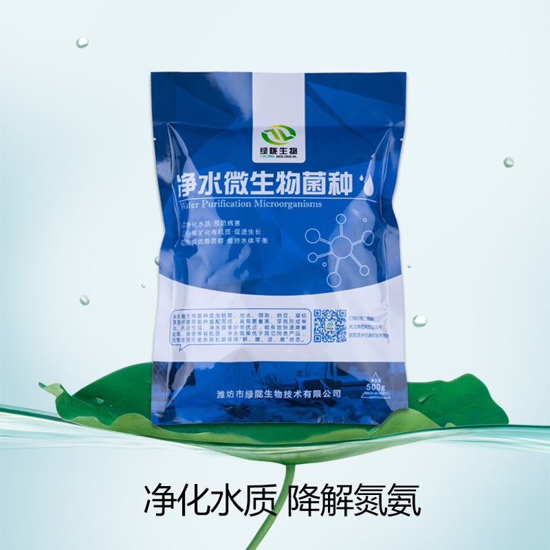 山東凈水微生物菌種價(jià)格@山東凈水微生物菌種報(bào)價(jià)@山東凈水微生物菌種廠家