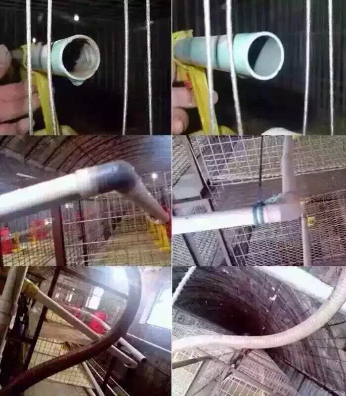 水質(zhì)改良劑水勿憂肉雞蛋雞凈化水線 水塔 蓄水池 輸水管飲水器 清理水線水質(zhì)改良劑