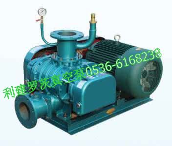 利建羅茨真空泵羅茨鼓風機利建兩葉羅茨鼓風機價格80A