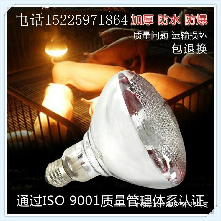 保溫?zé)艏雍穹浪辣┘t外線仔豬雛雞取暖保溫?zé)襞蒺B(yǎng)殖保溫設(shè)備