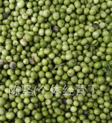 天門(mén)冬種子適合貴州 四川 云南 兩廣種植三代大小天冬種子