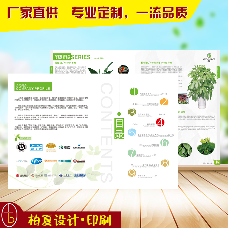 宣傳冊設(shè)計(jì)印刷彩色樣本公司畫冊設(shè)計(jì)印刷