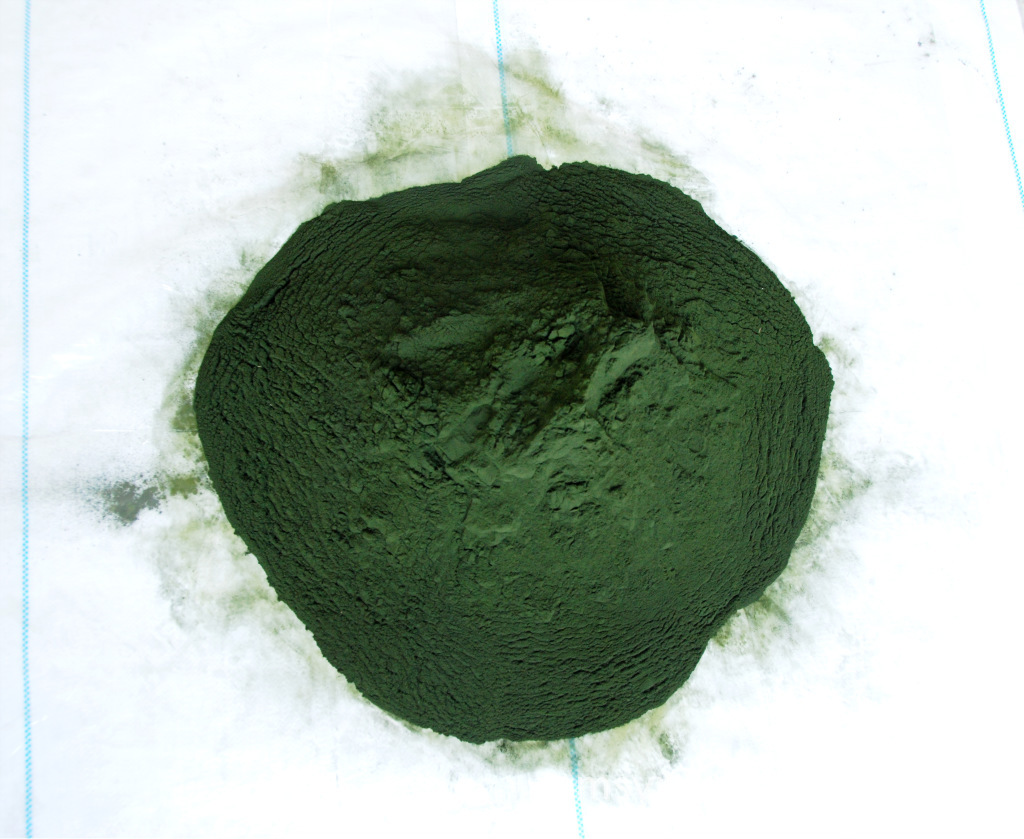 廠家直銷(xiāo)螺旋藻粉