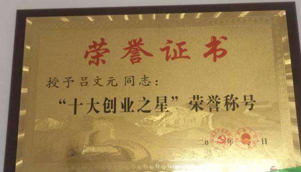 草莓苗網(wǎng) 草莓苗種植基地 草莓苗圖片