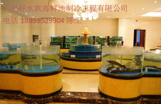 白云海鮮魚(yú)池設(shè)計(jì)_海鮮池制作專(zhuān)業(yè)