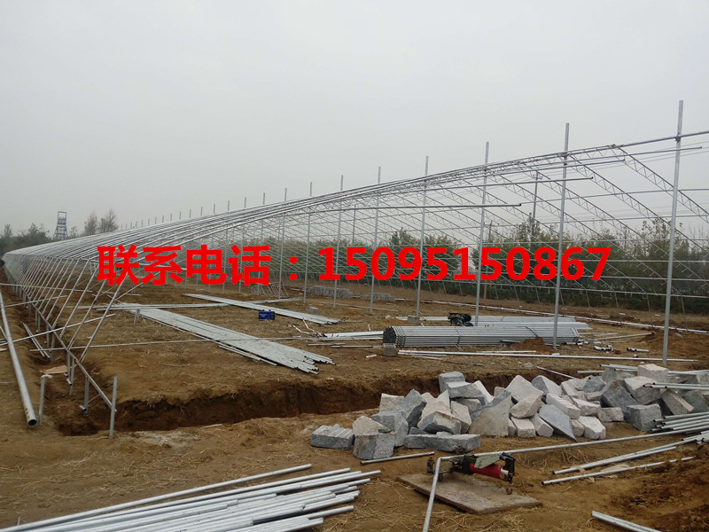 貴州貴陽日光溫室大棚哪里建的好