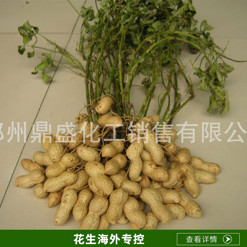 廠家直銷不早衰膨果快保葉飽果效果好 河南花生海外?？?  title=