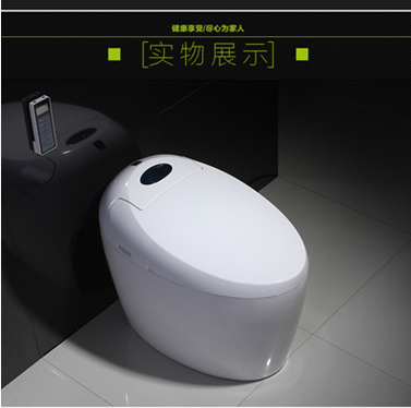 全自動(dòng)全智能馬桶 全自動(dòng)全智能馬桶供應(yīng)商 全自動(dòng)全智能馬桶批發(fā) 全自動(dòng)全智能馬桶廠(chǎng)家