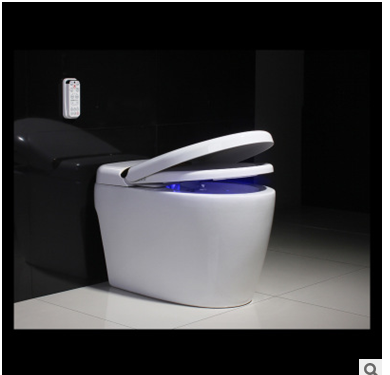 全自動智能馬桶 全自動智能馬桶供應(yīng)商 全自動智能馬桶批發(fā) 全自動智能馬桶零售