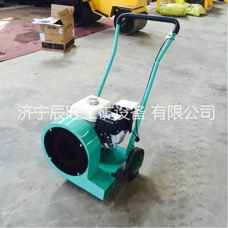 路面吹風(fēng)機(jī) 吹掃機(jī) 風(fēng)干機(jī)大馬力*風(fēng)力路面吹風(fēng)機(jī)