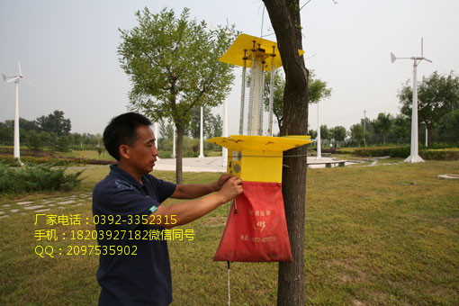 太陽能殺蟲燈    殺蟲燈廠家電
