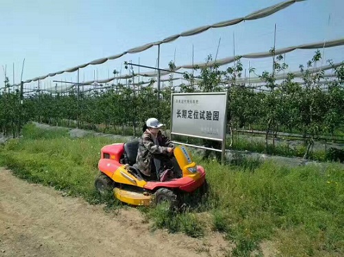供應(yīng)四輪乘坐式進口割草機
