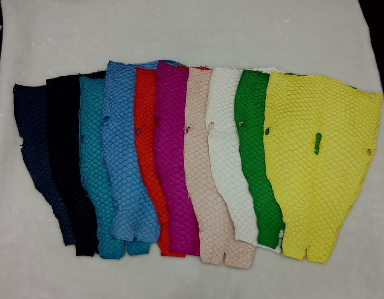 加工魚皮 加工魚皮原料 A級草魚皮