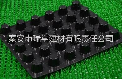 排水板 排水板廠家 排水板價(jià)格 排水板供應(yīng) 排水板哪家好 排水板圖片