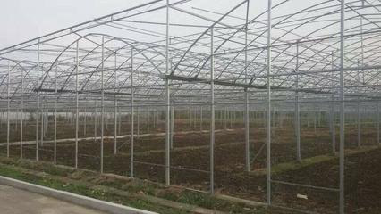 XZ 拱棚鋼架大棚蔬菜大棚草莓大棚PC板大棚陽光板連棟溫室大棚 鋼管大棚