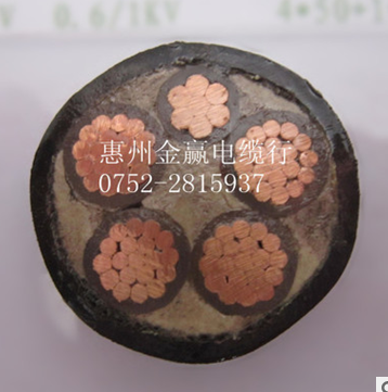 3芯阻燃耐高溫電纜 金龍羽電纜供應(yīng)商 金龍羽電纜批發(fā)】 金龍羽電纜廠家
