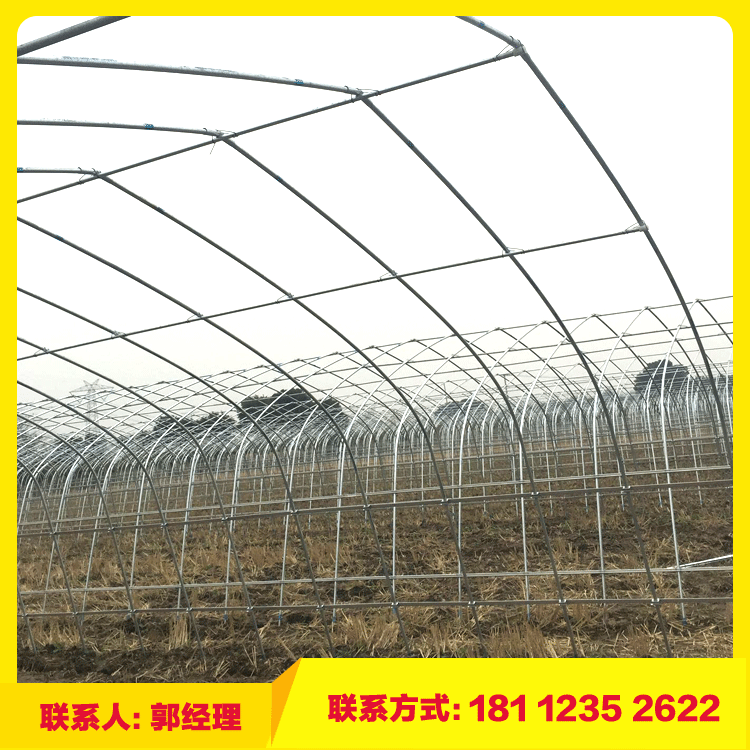溫室大棚 大棚鋼管及簡易連體大棚訂購 特殊規(guī)格可根據(jù)客戶需求加工定做