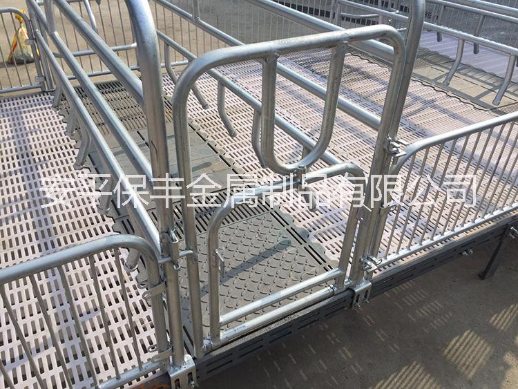 河北豬用產(chǎn)床批發(fā) 養(yǎng)豬設(shè)備新品廠家直銷 *熱鍍鋅管豬床供應(yīng)商