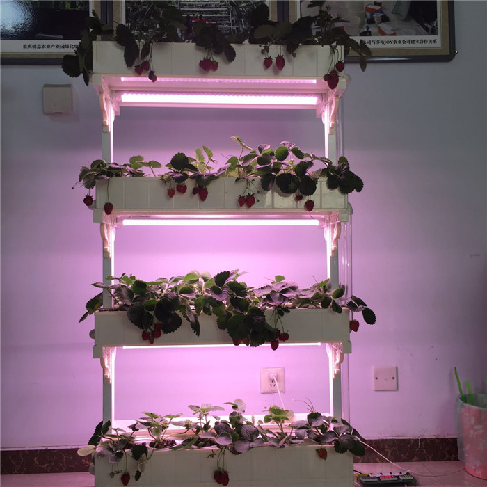 潤康園廠家直銷全智能蔬菜種植機