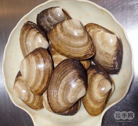 麻刀貝廠家直銷、貝殼哪家好、麻刀貝經(jīng)銷商、貝殼批發(fā)、刀貝生產(chǎn)廠家