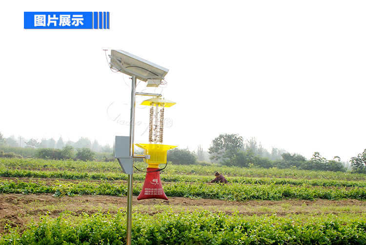 佳多PS-15VI-2太陽能頻振 佳多太陽能頻振式殺蟲燈