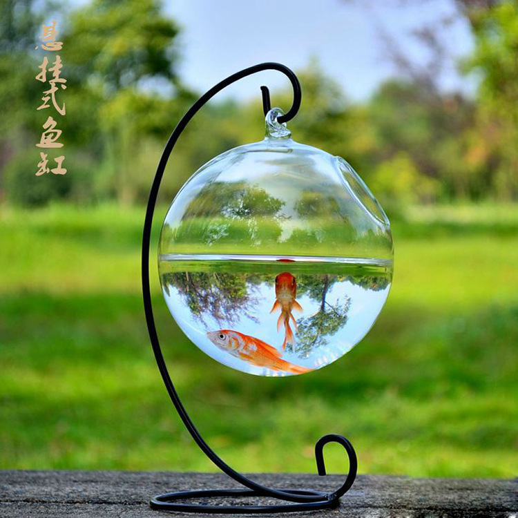 玻璃魚(yú)缸創(chuàng)意懸掛式玻璃花瓶 懸掛式玻璃花瓶吊球  家居擺件玻璃魚(yú)缸