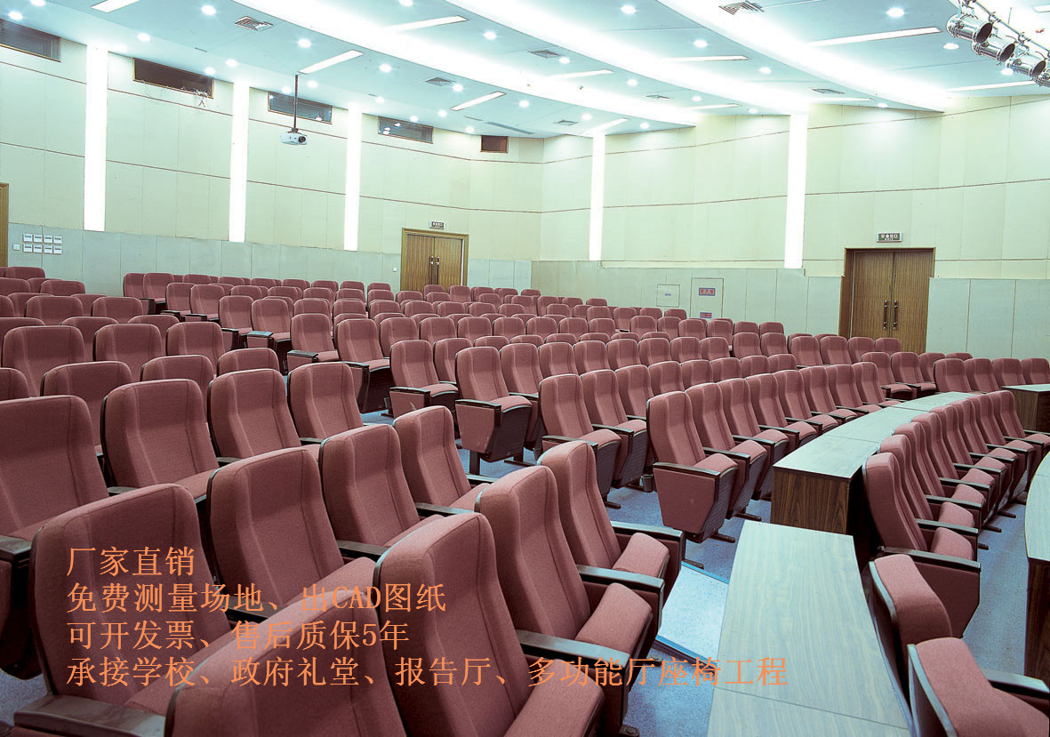 供應(yīng)珠海學(xué)校、*禮堂椅、大型會議室座椅、功能報告廳排椅廠家