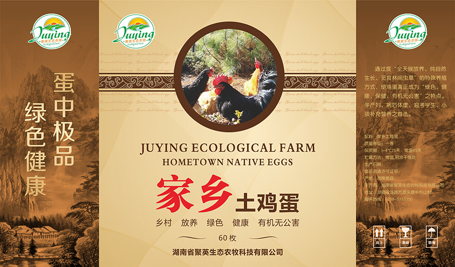 平面設計，畫冊設計，標志設計，V 畫冊設計，標志設計，包裝設計